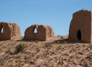 Starożytna mumia boliwijska stała się pierwszym dowodem na obecność paciorkowców w obu Amerykach