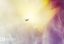 Вловити невидиме: як студент використовував космічні промені для створення космічного мистецтва