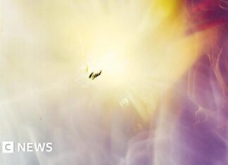Het onzichtbare vastleggen: hoe een student kosmische straling gebruikte om ruimtekunst te creëren