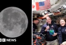 Екіпаж “Артеміди-II” Повідомляє про Перші Враження від Зворотної Сторони Місяця