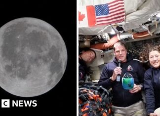 Kru Artemis II Melaporkan Pandangan Pertama Sisi Jauh Bulan