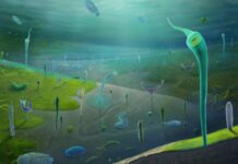 Скам’янілості показують, що до кембрійського вибуху існувало багато складних тварин