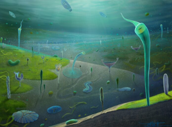 b012717d-dffc-4ab0-bbc4-495ed00b5dca