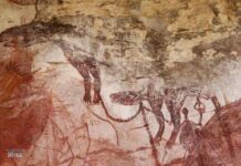 Дослідники виявили малюнки тасманійського тигра та тасманійського диявола в Північній Австралії