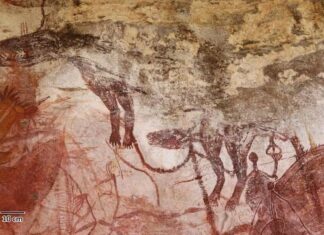 Un’antica arte rupestre rivela che la tigre e il diavolo della Tasmania vivevano nell’Australia continentale più recentemente di quanto si pensasse