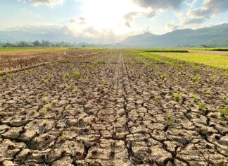 Comment le changement climatique alimente la montée de la résistance aux antibiotiques