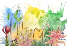 ДНК з повітря: арктичні мохи швидко адаптуються до потепління клімату