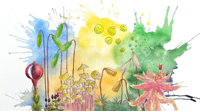 d279728d-c213-422a-90c8-ad205643eaf0