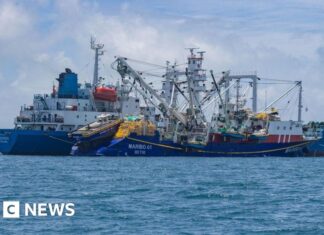 De tonijnval: hoe klimaatverandering de economische overleving van Kiribati bedreigt