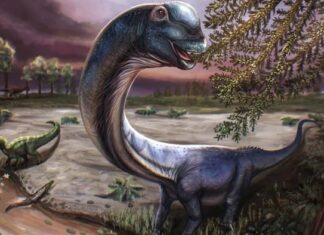 Ostatni tytan dinozaurów w Tajlandii