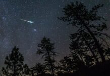 Почему персеиды светятся зеленым и как их увидеть