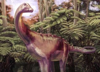 Ice Out. Dinosaur In.