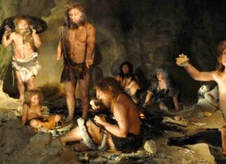 Neanderthals and Sapiens Lived Identically. Who Cares Which Species Was There?