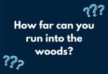 Que signifie cette énigme des bois et comment la résoudre ?