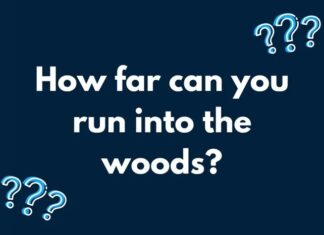 ¿Qué significa este acertijo del bosque y cómo se resuelve?