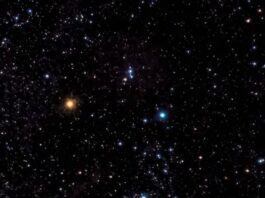 How the Amazon Star Bellatrix Fits Into Orion’s Blueprint